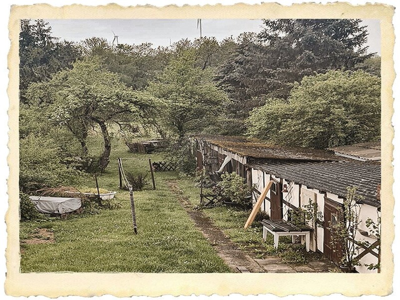 ursprünglicher Garten - Natur pur