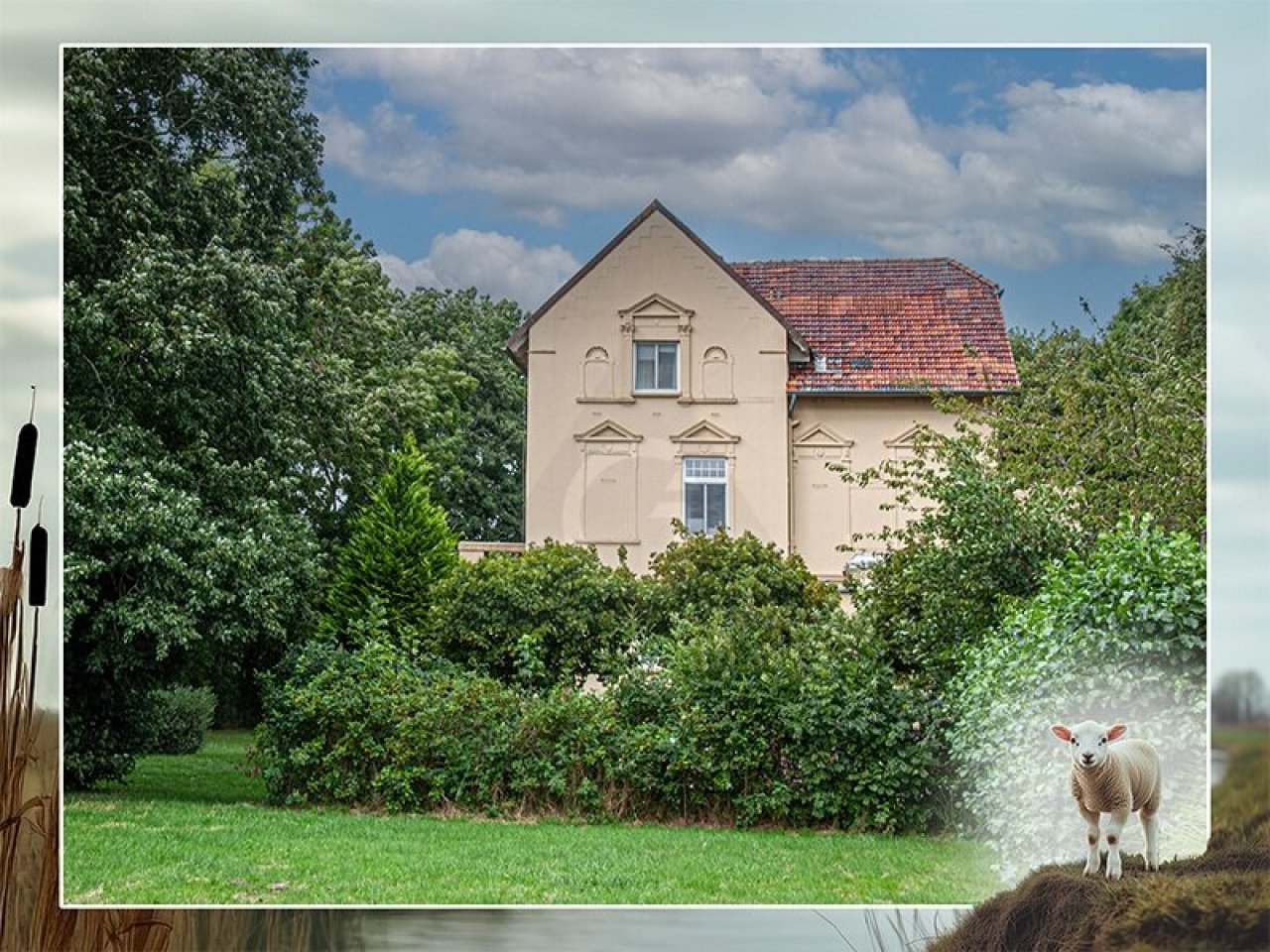 verträumter Blick aus dem Garten verträumter Blick aus dem Garten